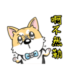 Silly Diary-The pets version（個別スタンプ：27）