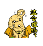 Silly Diary-The pets version（個別スタンプ：30）