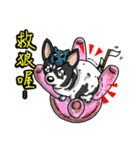 Silly Diary-The pets version（個別スタンプ：37）