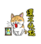 Silly Diary-The pets version（個別スタンプ：38）