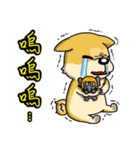 Silly Diary-The pets version（個別スタンプ：39）