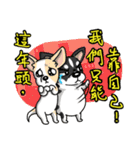Silly Diary-The pets version（個別スタンプ：40）