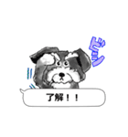 吹き出し犬（個別スタンプ：23）