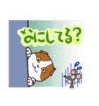 ネコざんまい（個別スタンプ：6）