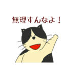 はむはむねこ（個別スタンプ：3）