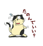 はむはむねこ（個別スタンプ：9）