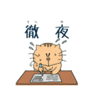 はむはむねこ（個別スタンプ：13）