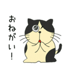 はむはむねこ（個別スタンプ：19）