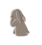Rabbit with Mask 3（個別スタンプ：20）