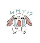 Rabbit with Mask 3（個別スタンプ：36）