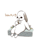 Rabbit with Mask 3（個別スタンプ：37）