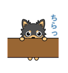 チワワのモモちゃん（個別スタンプ：8）