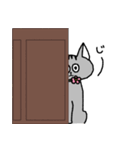 ねこさんの日常スタンプ（個別スタンプ：5）