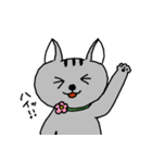 ねこさんの日常スタンプ（個別スタンプ：19）