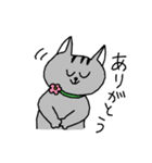 ねこさんの日常スタンプ（個別スタンプ：33）