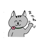 ねこさんの日常スタンプ（個別スタンプ：40）