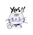 キジ猫のたくちゃん2（個別スタンプ：3）