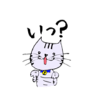 キジ猫のたくちゃん2（個別スタンプ：16）