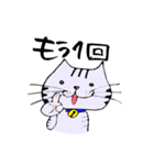 キジ猫のたくちゃん2（個別スタンプ：17）