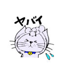 キジ猫のたくちゃん2（個別スタンプ：24）