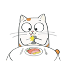Vios Cat（個別スタンプ：27）