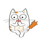 Vios Cat（個別スタンプ：37）