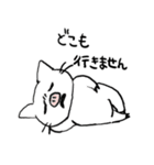ぶひねこ（個別スタンプ：24）