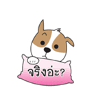 SOJU Little fat dog（個別スタンプ：36）