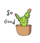 Cactus mini garden（個別スタンプ：10）