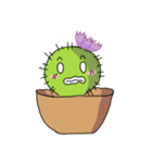 Cactus mini garden（個別スタンプ：19）