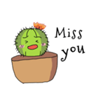 Cactus mini garden（個別スタンプ：21）