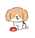 Beagle＆Pomeranian（個別スタンプ：25）