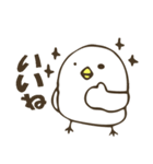 ぴよっち（個別スタンプ：8）