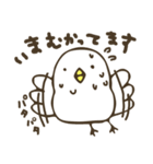 ぴよっち（個別スタンプ：14）