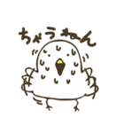 ぴよっち（個別スタンプ：20）
