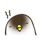 ぴよっち（個別スタンプ：29）