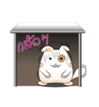 Pig Meow (TH)（個別スタンプ：36）