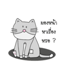 Mero Cat（個別スタンプ：13）