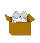 Mero Cat（個別スタンプ：15）