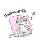 Mero Cat（個別スタンプ：40）