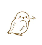 フクロウの白いの（個別スタンプ：13）