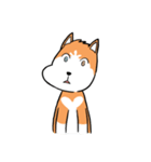 Sashimi siberian husky dog（個別スタンプ：4）