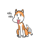 Sashimi siberian husky dog（個別スタンプ：7）