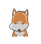 Sashimi siberian husky dog（個別スタンプ：16）