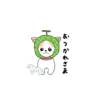 チワワのチロル（個別スタンプ：8）