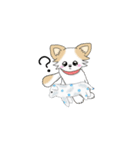 チワワのチロル（個別スタンプ：10）