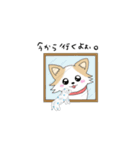チワワのチロル（個別スタンプ：12）