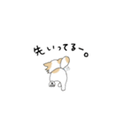 チワワのチロル（個別スタンプ：14）