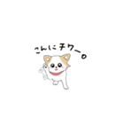 チワワのチロル（個別スタンプ：16）