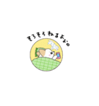 チワワのチロル（個別スタンプ：39）